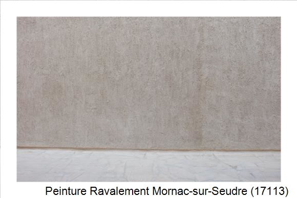 Façadier à Mornac-sur-Seudre (17113)