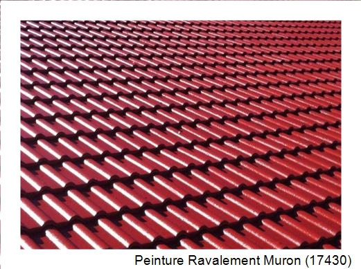 Peinture toiture à Muron (17430)