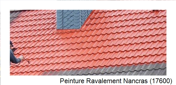 ¨Peinture toiture à Nancras (17600)