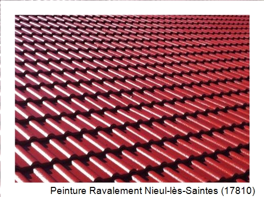 Peinture toiture à Nieul-lès-Saintes (17810)