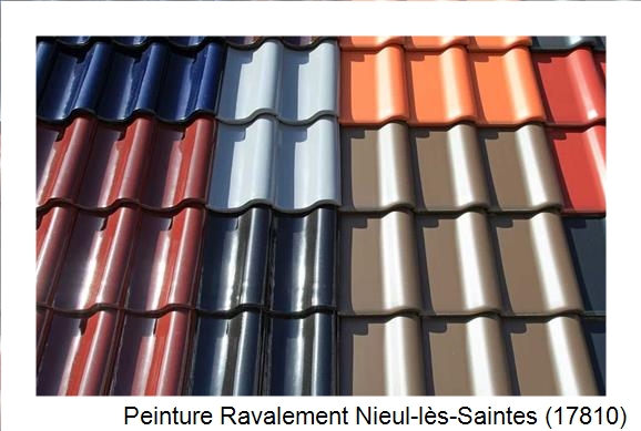 Artisan peintre à Nieul-lès-Saintes (17810)