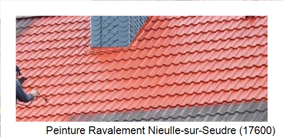 ¨Peinture toiture à Nieulle-sur-Seudre (17600)