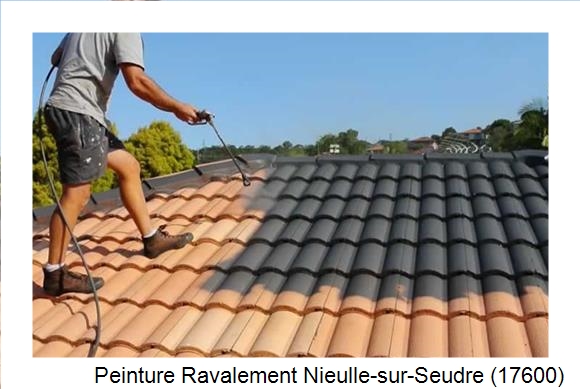 Artisan peintre à Nieulle-sur-Seudre (17600)
