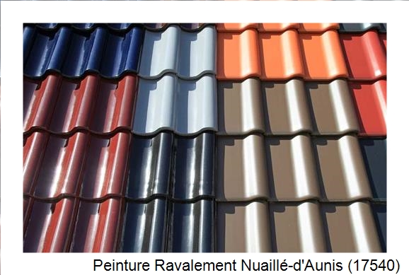 Artisan peintre à Nuaillé-d'Aunis (17540)