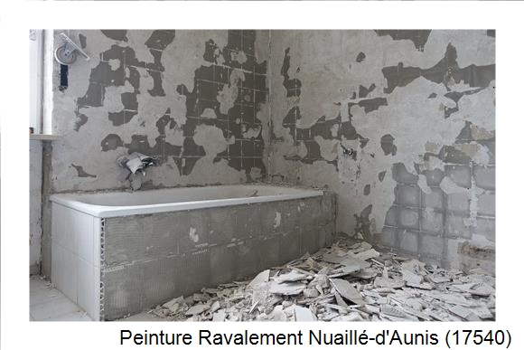 Façadier à Nuaillé-d'Aunis (17540)
