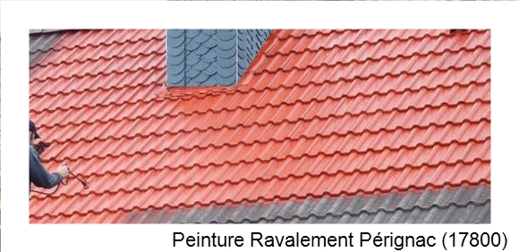 ¨Peinture toiture à Pérignac (17800)