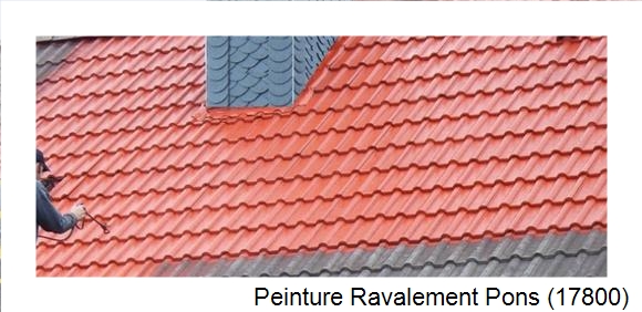 ¨Peinture toiture à Pons (17800)