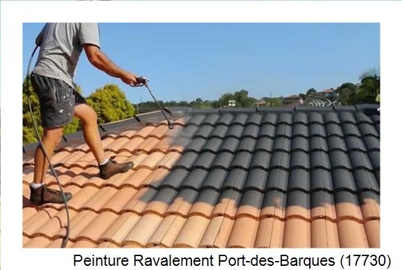 Artisan peintre à Port-des-Barques (17730)