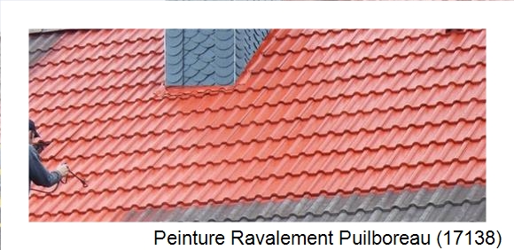 ¨Peinture toiture à Puilboreau (17138)