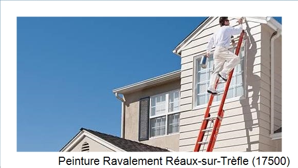 Travaux de bardage à Réaux-sur-Trèfle (17500)