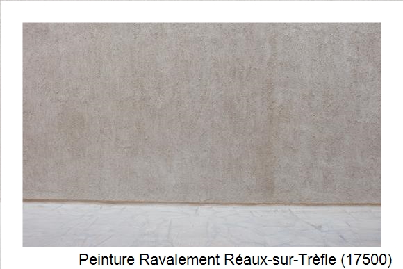 Façadier à Réaux-sur-Trèfle (17500)