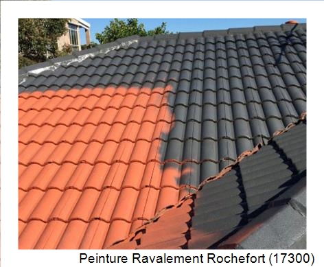 Peinture toiture à Rochefort (17300)
