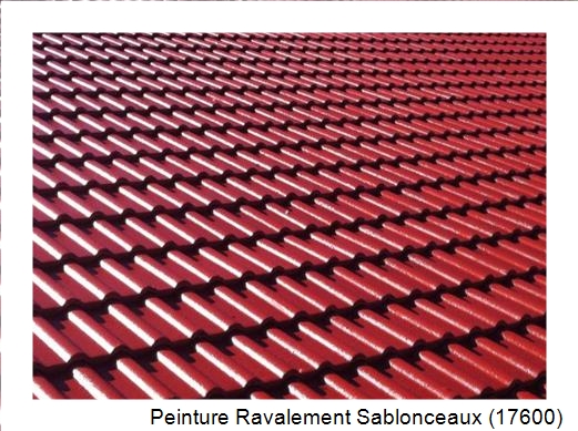 Peinture toiture à Sablonceaux (17600)