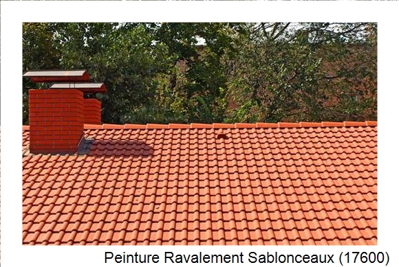 Peintre en batîment à Sablonceaux (17600)