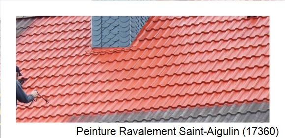 ¨Peinture toiture à Saint-Aigulin (17360)