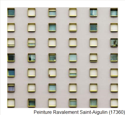 Bardage à Saint-Aigulin (17360)