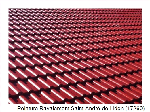 Peinture toiture à Saint-André-de-Lidon (17260)