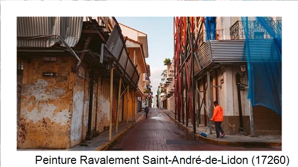 Rénovation façade à Saint-André-de-Lidon (17260)