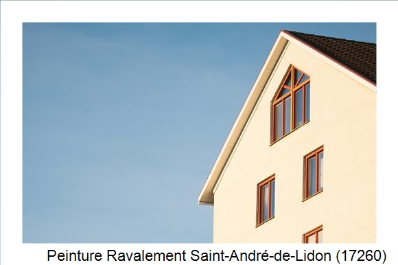 Entreprise de façade à Saint-André-de-Lidon (17260)