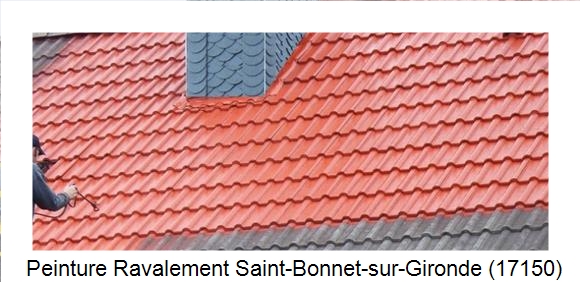 ¨Peinture toiture à Saint-Bonnet-sur-Gironde (17150)