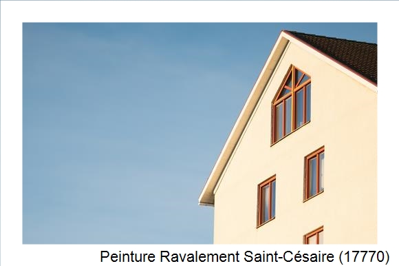 Entreprise de façade à Saint-Césaire (17770)