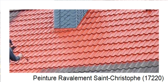 ¨Peinture toiture à Saint-Christophe (17220)