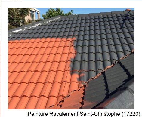 Peinture toiture à Saint-Christophe (17220)