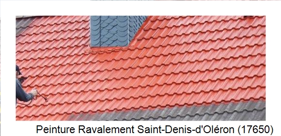 ¨Peinture toiture à Saint-Denis-d'Oléron (17650)