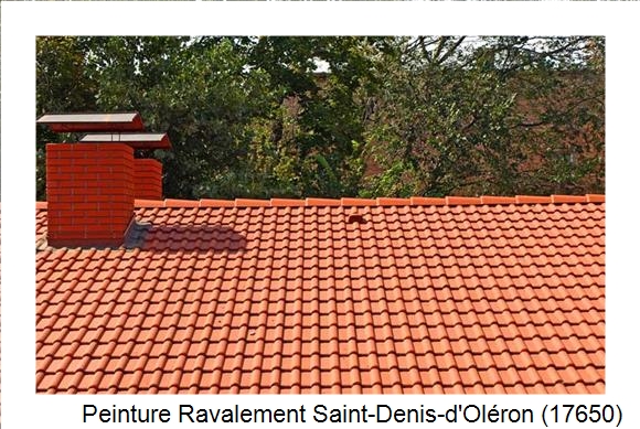 Peintre en batîment à Saint-Denis-d'Oléron (17650)