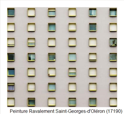 Bardage à Saint-Georges-d'Oléron (17190)