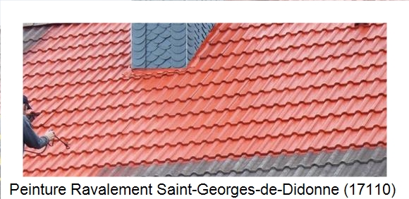 ¨Peinture toiture à Saint-Georges-de-Didonne (17110)