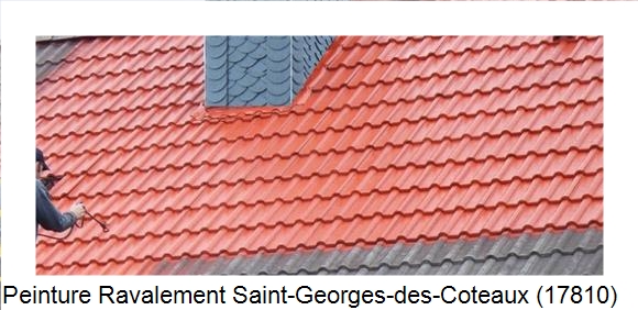 ¨Peinture toiture à Saint-Georges-des-Coteaux (17810)