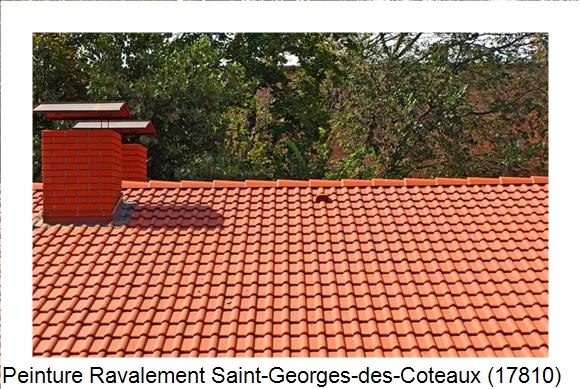 Peintre en batîment à Saint-Georges-des-Coteaux (17810)