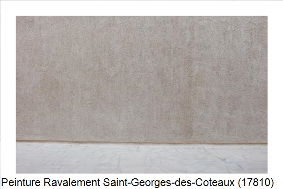 Façadier à Saint-Georges-des-Coteaux (17810)