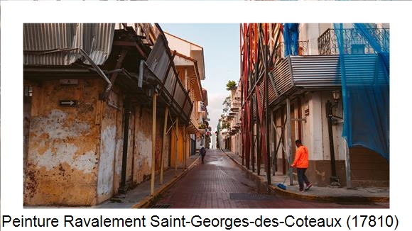 Rénovation façade à Saint-Georges-des-Coteaux (17810)