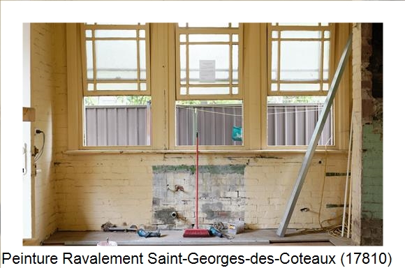 Entreprise de façade à Saint-Georges-des-Coteaux (17810)