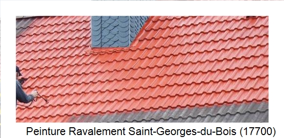¨Peinture toiture à Saint-Georges-du-Bois (17700)
