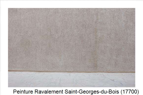 Façadier à Saint-Georges-du-Bois (17700)