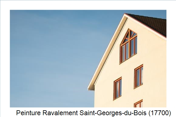 Entreprise de façade à Saint-Georges-du-Bois (17700)