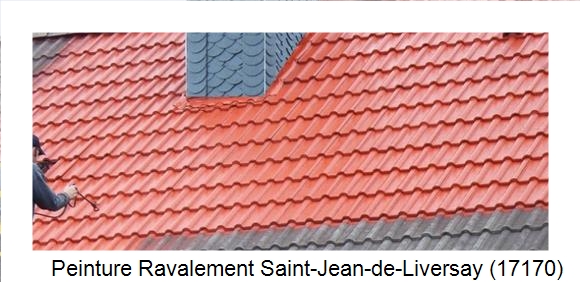 ¨Peinture toiture à Saint-Jean-de-Liversay (17170)