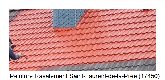 ¨Peinture toiture à Saint-Laurent-de-la-Prée (17450)