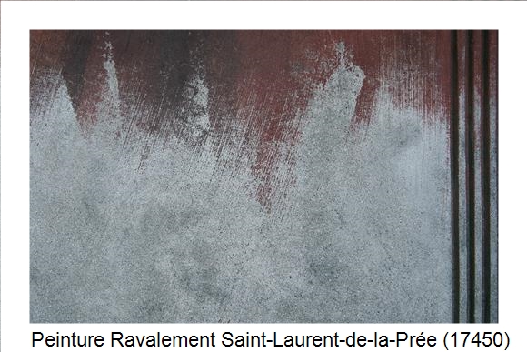 Entreprise de ravalement à Saint-Laurent-de-la-Prée (17450)