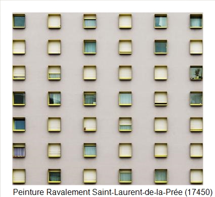 Bardage à Saint-Laurent-de-la-Prée (17450)