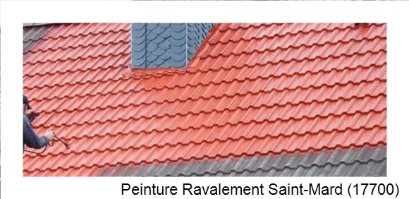 ¨Peinture toiture à Saint-Mard (17700)
