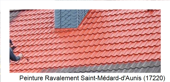 ¨Peinture toiture à Saint-Médard-d'Aunis (17220)