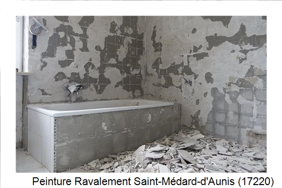Façadier à Saint-Médard-d'Aunis (17220)