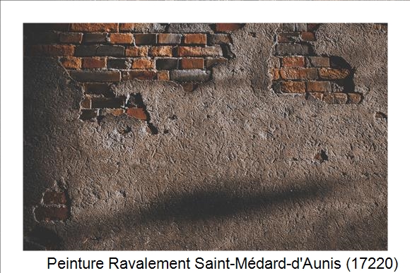 Entreprise de ravalement à Saint-Médard-d'Aunis (17220)