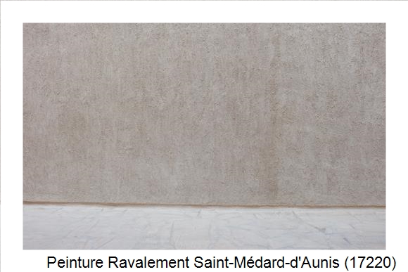 Façadier à Saint-Médard-d'Aunis (17220)