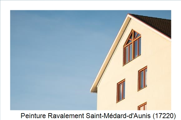 Entreprise de façade à Saint-Médard-d'Aunis (17220)