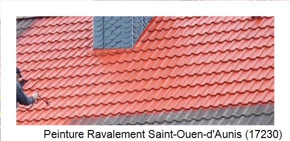 ¨Peinture toiture à Saint-Ouen-d'Aunis (17230)